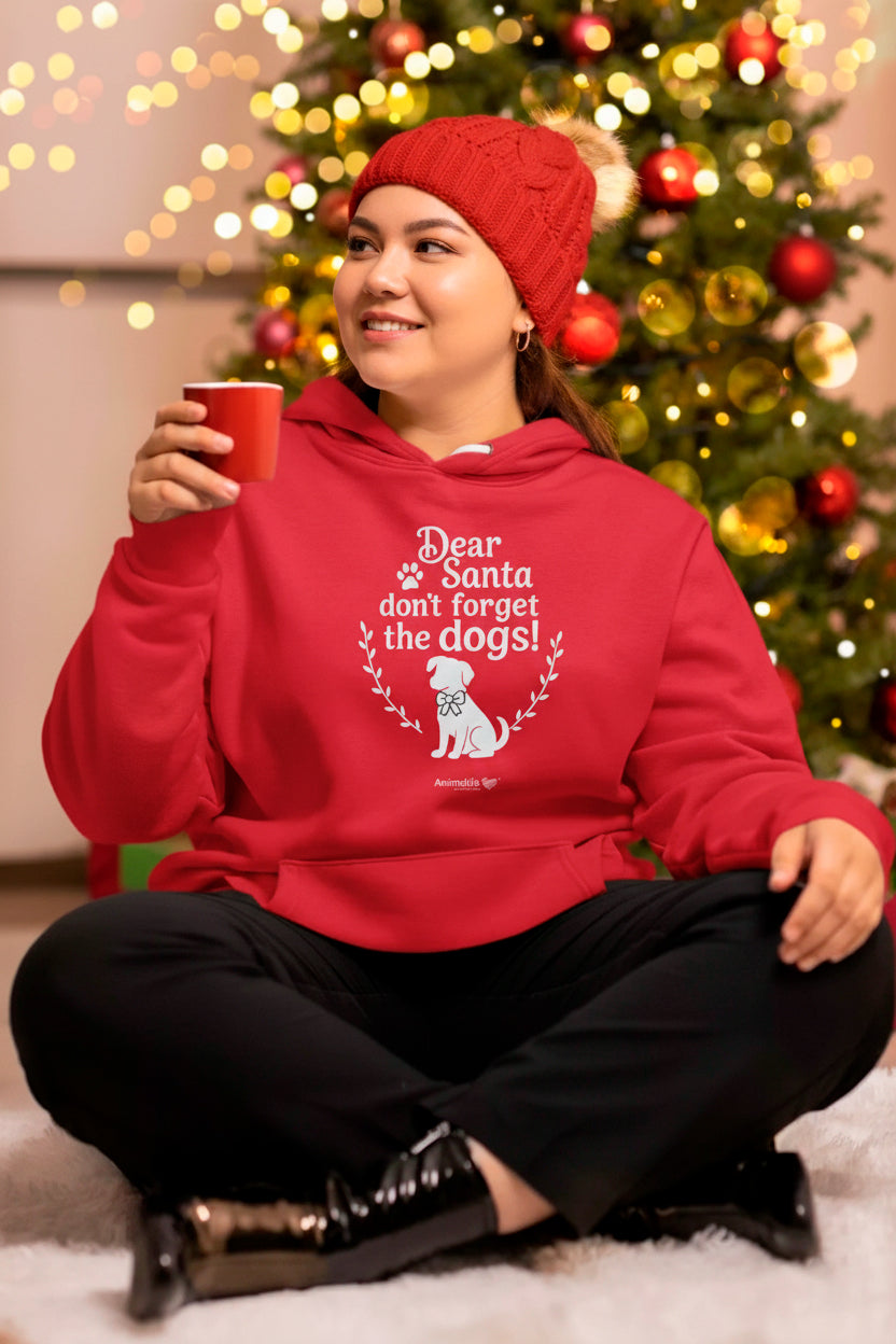 Hoodie | Querido Pai Natal...